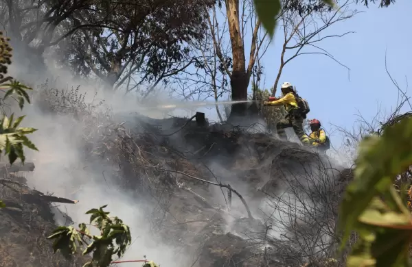 ¿Cuánto dinero perdió Quito por los incendios?
