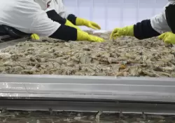 Así explica Fedexpor la sobretasa del 15 % impuesta por Estados Unidos