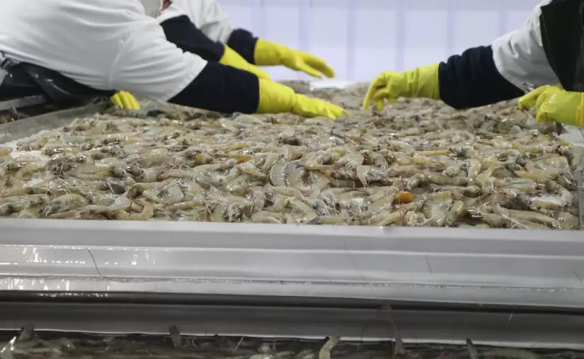 Así explica Fedexpor la sobretasa del 15 % impuesta por Estados Unidos