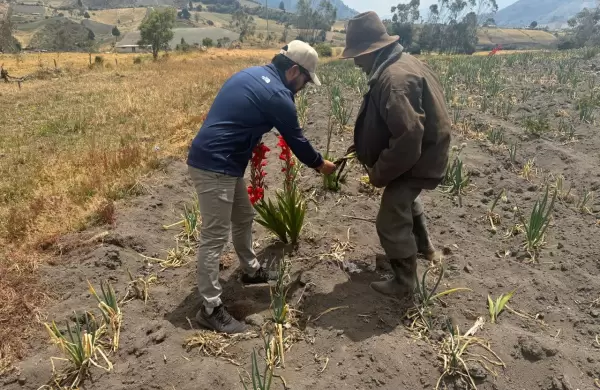 A US$ 8,7 millones ascienden afectaciones agropecuarias por incendios forestales y sequías