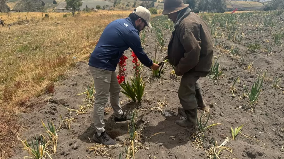 Sequa en Ecuador