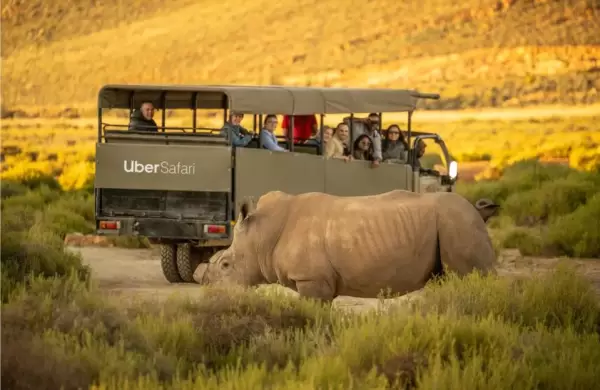 Uber Safari se lanza en Sudáfrica con recorridos que llegan hasta sólo los 50 dólares por persona