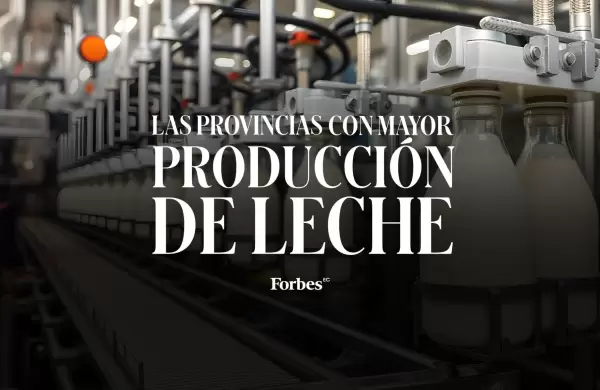 Estas son las provincias con mayor produccin de leche