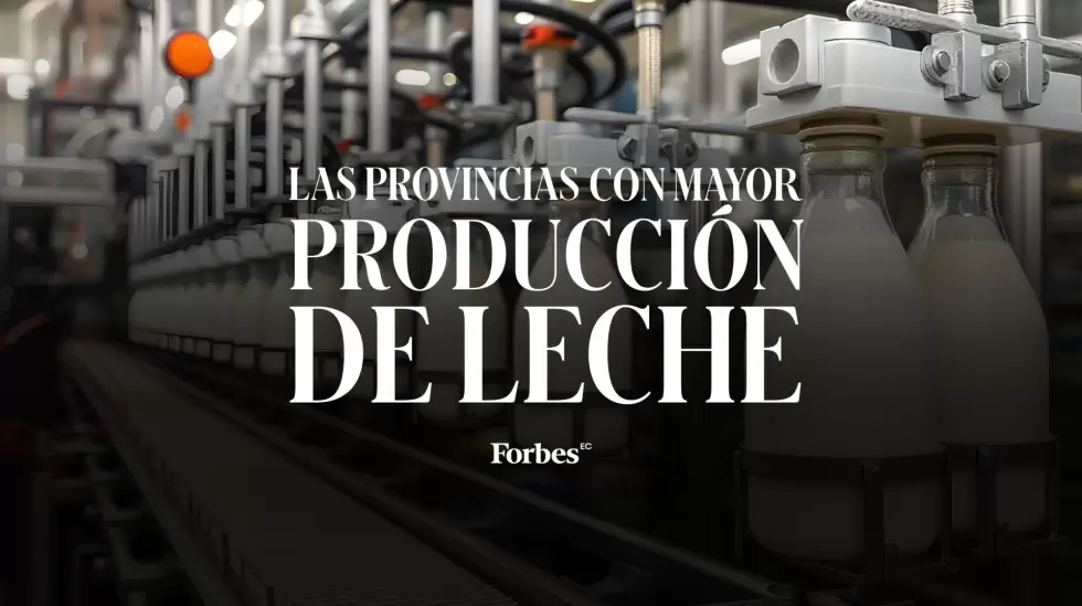 RANKING PRODUCCIN DE LECHE