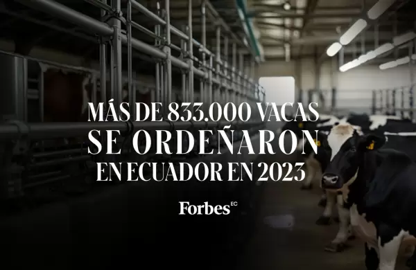 Más de 833.000 vacas se ordeñaron en Ecuador en 2023
