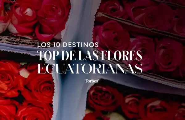 Los 10 destinos top de las flores ecuatorianas en 2023