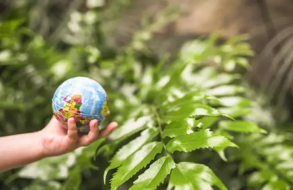 La regeneracin de los ecosistemas, ms all de lo ambiental