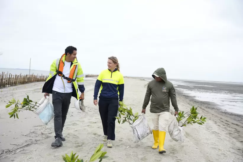 Proyecto Aquaforest Guayaquil - Ecuador