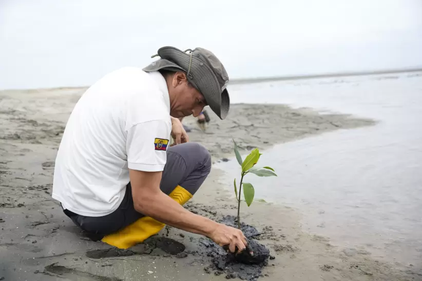 Proyecto Aquaforest Guayaquil - Ecuador