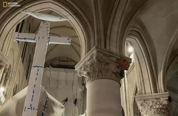La restauracin de Notre Dame: un triunfo del arte, la innovacin y la resiliencia