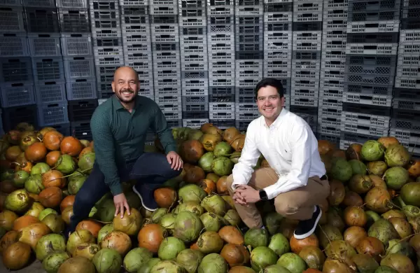 Cuando la vida te da cocos