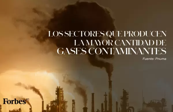 ¿Qué sectores producen la mayor cantidad de gases contaminantes?