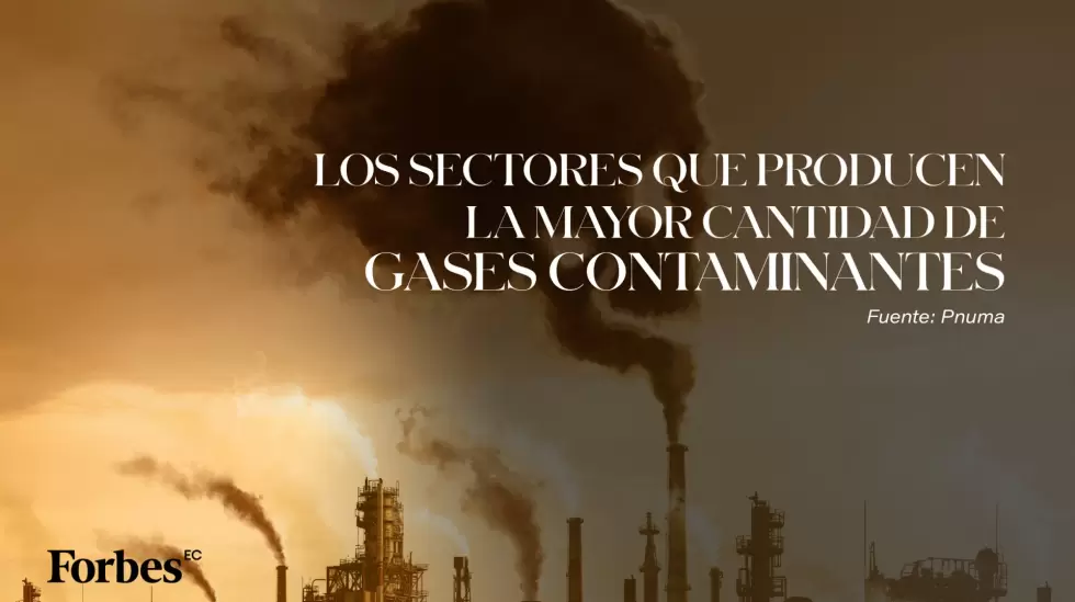 Los sectores que producen la mayor cantidad de gases contaminantes