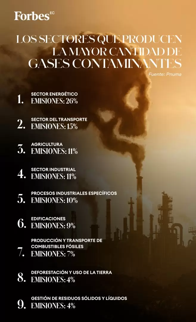 Ranking Sectores que emiten gases contaminantes