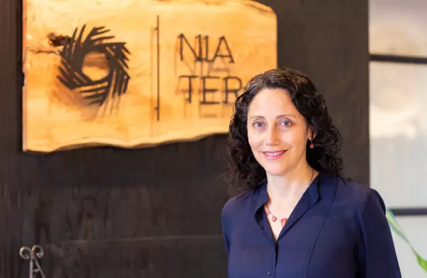 El hada de los pueblos originarios