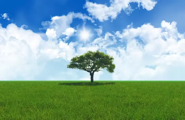 Testamento ambiental