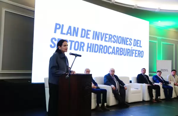 Casi US$ 42.000 millones se proyecta invertir en el sector petrolero hasta 2029