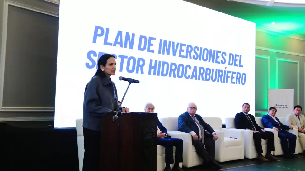 Plan de inversiones en el sector petrolero