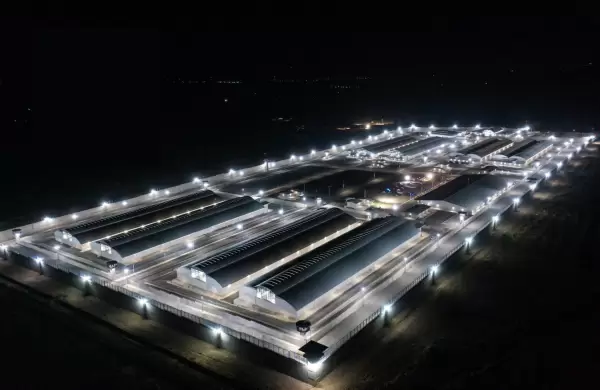 ¿Los migrantes en EE.UU. podrían ir a las cárceles de Bukele?