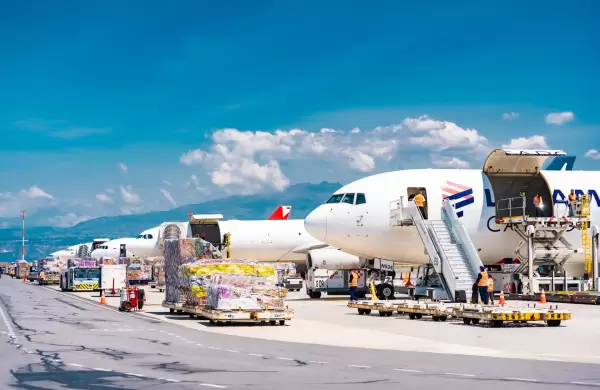 Las exportaciones de flores por San Valentín llegaron a US$ 290 millones este año