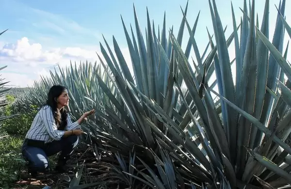 "La reina del tequila": mano a mano con la empresaria que está revolucionando la industria