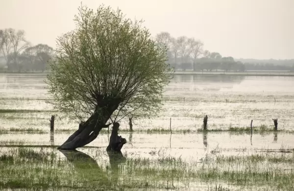 La inacción climática costará un tercio del PBI mundial y se encienden alertas entre los especialistas