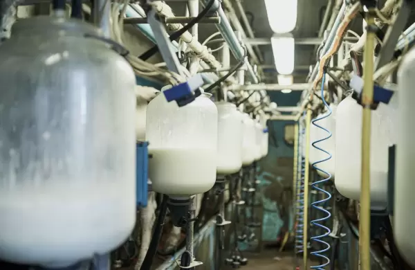 Entre el estancamiento y la bsqueda de competitividad