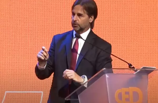 El expresidente Lacalle Pou fue presentado como senior fellow del CED: ¿de qué se trata su nuevo rol?