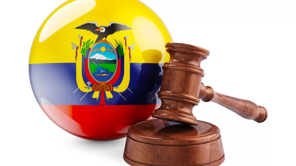 constitucin