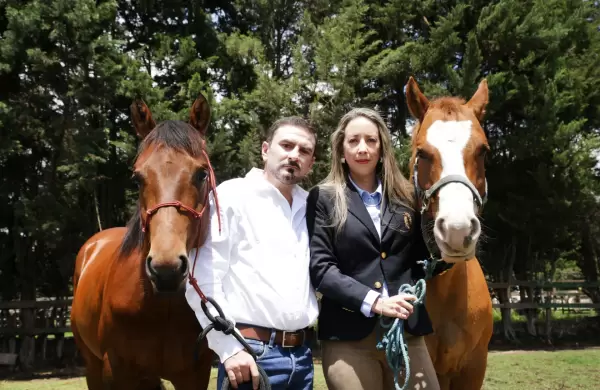 El negocio de los cosméticos equinos también factura en Ecuador