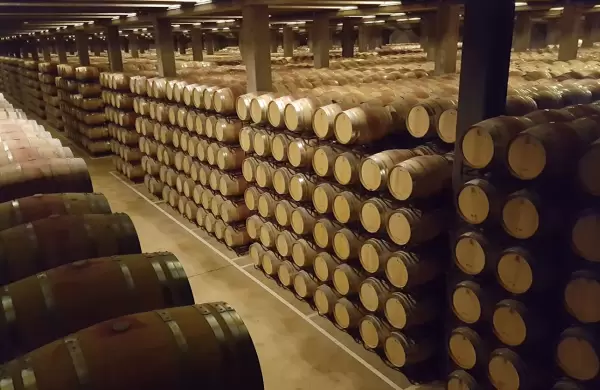 Nace uno de los tres gigantes vitivinícolas: la operación que sumará ventas globales por casi US$ 1000 millones