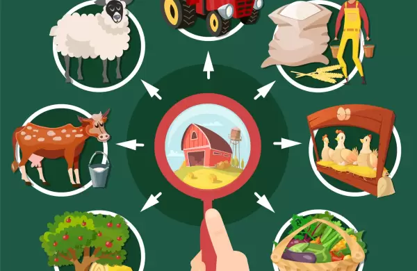 Informalidad en el agro: un desafo para la seguridad alimentaria y la economa