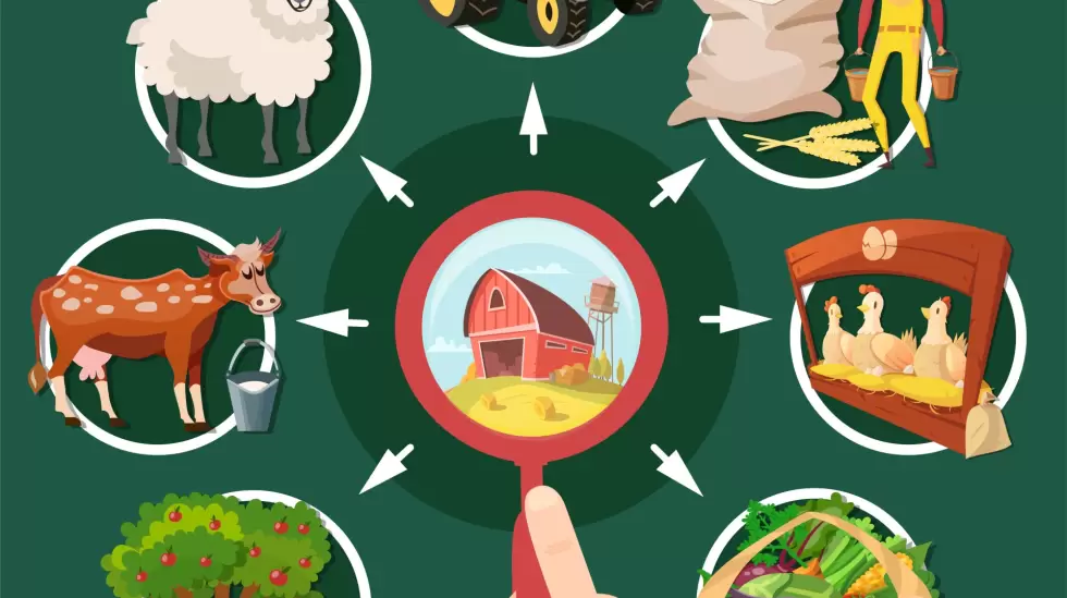 informalidad del agro