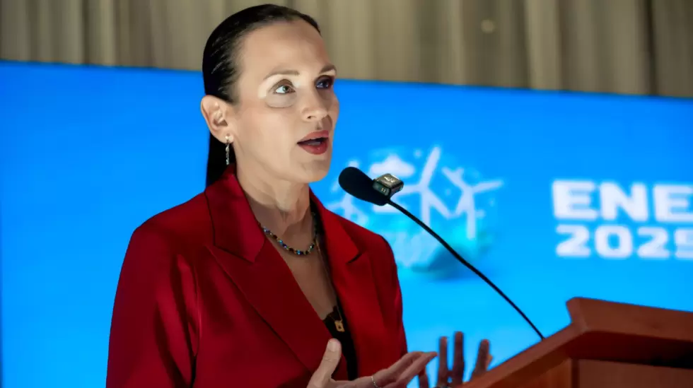 Ins Manzano, Ministra de Energa y Minas