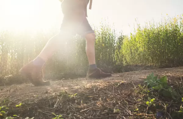 Estamos condenados por nuestra biolog�a, por ello inventamos a la estrategia
