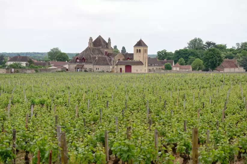 Vougeot, Bourgogne-Franche-Comt, France