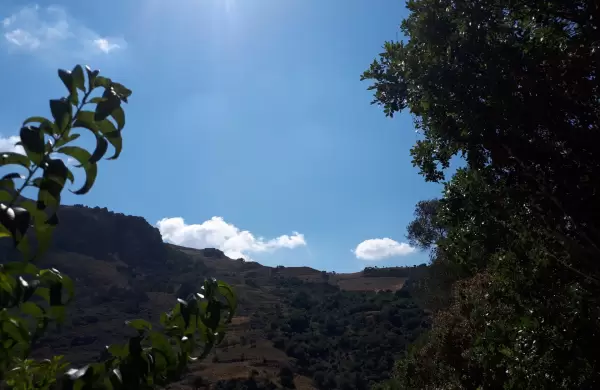 Junio o el aire distinto