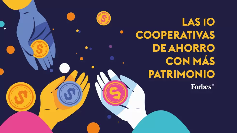 Cooperativas con ms patrimonio