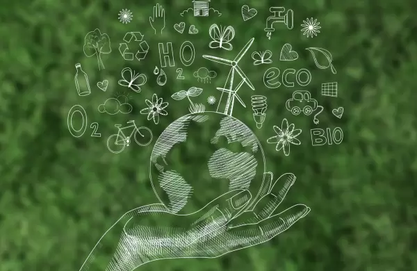 Carbono y Biodiversidad: La nueva moneda verde que Ecuador an no imprime