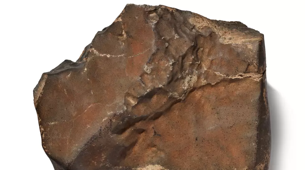 NWA 16788, un meteorito marciano, se subastará el 16 de julio de 2025.
Sotheby'