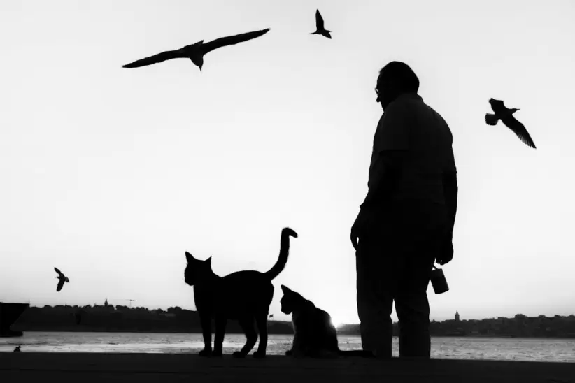 Mascotas y la tercera edad.