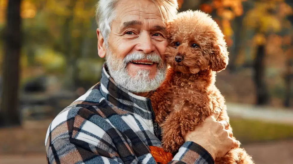 Mascotas, perros, abuelos, adultos mayores