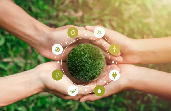 Sostenibilidad: progreso real o marketing verde?