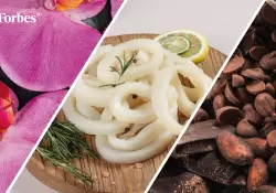 El top de productos no tradicionales que ms crecieron en exportaciones a China