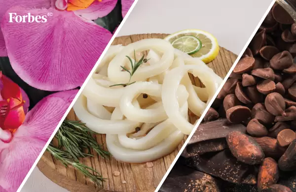 El top de productos no tradicionales que más crecieron en exportaciones a China