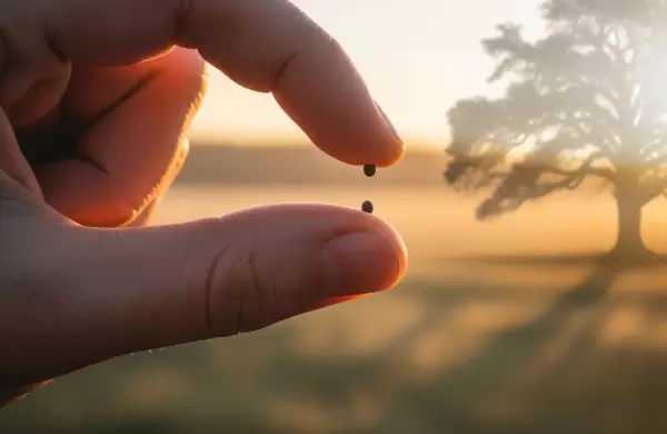 Los secretos del modelo "liderazgo semilla de mostaza": cómo una pequeña idea puede cambiar el mundo
