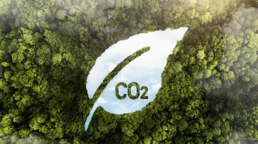 greenwashing