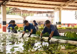 Estados Unidos apuesta por productos ecuatorianos