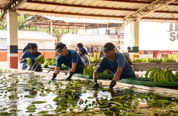 Estados Unidos apuesta por productos ecuatorianos