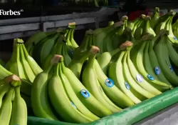 Marcas lderes del banano impulsan innovacin y nuevos mercados